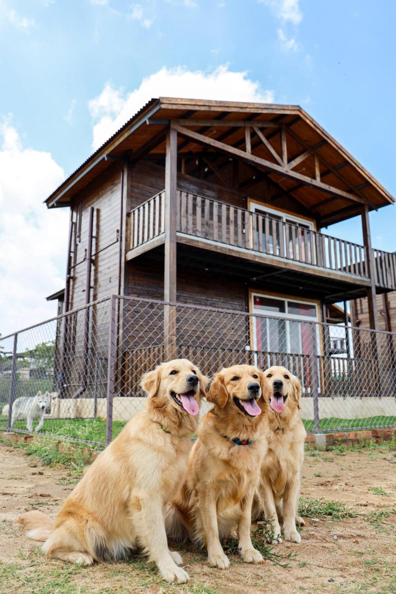 Therpup Resort Kammasandra Dış mekan fotoğraf