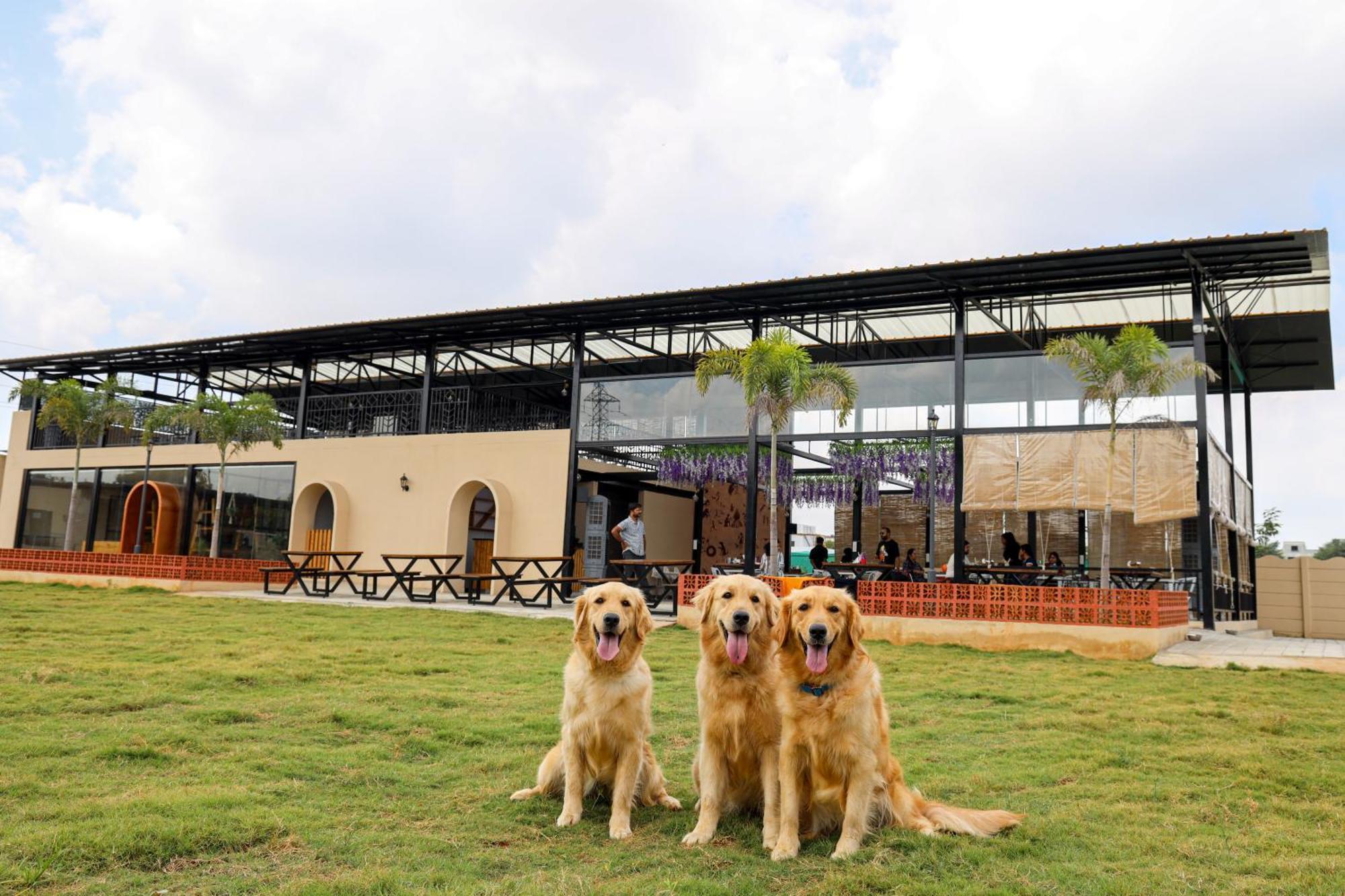Therpup Resort Kammasandra Dış mekan fotoğraf